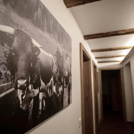 Almhaus Bachmann Sonnenalpe Nassfeld