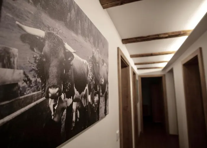 Almhaus Bachmann Sonnenalpe Nassfeld